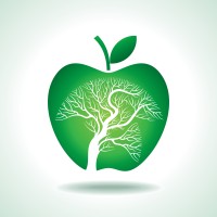 Backyard Orchard Consulting
