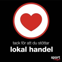 Sportringen Halmstad City logo - Similar company to Sgn Holding