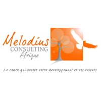 MELODIUS Consulting logo - Similar company to Inter'Activ Consulting