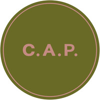 Carol Ann Perrot Communication logo - Similar company to Harmonia Luxus