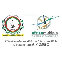 Pôle d’excellence africain /Africa Multiple Université Joseph Ki-Zerbo logo - Similar company to Le Pôle De Recherche Sur L’Afrique Et Le Monde Émergent