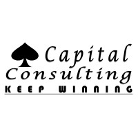 Capital Consulting Services logo - Similar company to Capitol Consulting Llc