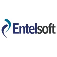 Entelsoft logo - Similar company to Blu Pantera