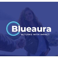 Blueaura Group logo - Similar company to Proclaim Roofing Llc