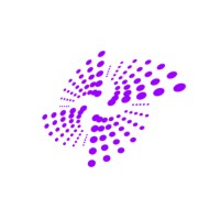 Nebulai logo - Similar company to Bottom Line Concepts, Llc