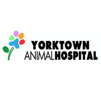 Yorktown Animal Hospital logo - Similar company to Thalle Industries Inc.