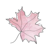 Maple Weddings and Events logo - Similar company to Celebration