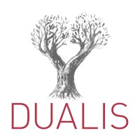 Dualis logo - Similar company to Dualis Gmbh It Solution