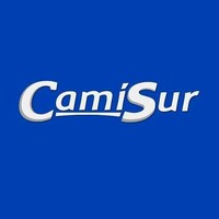 Camisur logo - Similar company to Academia Serrano