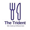 The Trident Institute of Hotel Management logo - Similar company to Chesslang