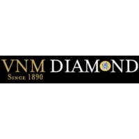 VNM Diamond logo - Similar company to Bit Byte Binary