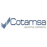 COTAMSA Consultora Tecnológico Administrativa de México logo - Similar company to My Exec Llc