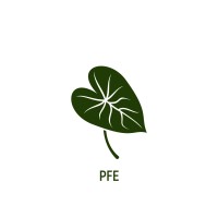 PFE - PlayGreen For Environment logo - Similar company to Moveart By Norbert Roztocki