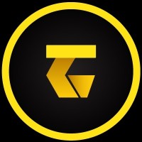 TechnoGigz Solutions Private Limited logo - Similar company to Technogripper Solutions Private Limited
