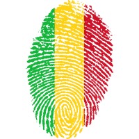 Mali Missions Project logo - Similar company to Delta-C Sarl