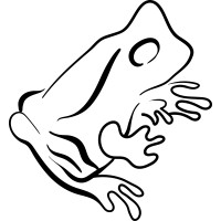 Curious Frog