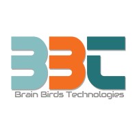 Brain Birds Technologies logo - Similar company to Cryptographic Solution
