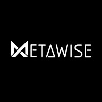 MetaWise logo - Similar company to Thewise