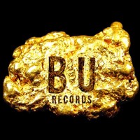 BU Records LLC logo - Similar company to Mptv Online