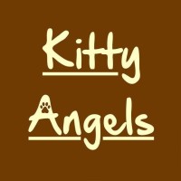 Kitty Angels logo - Similar company to Ics Assessment Services