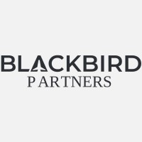 BLACKBIRD PARTNERS logo - Similar company to Kb Walker