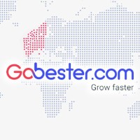 Gobester.com / B.S.B International logo - Similar company to Gobester.Com/Pt