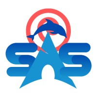 Sas - Systems Architecture And Solutions
