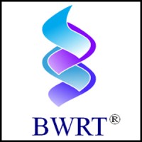 BWRT (Brain Working Recursive Therapy®) Schweiz logo - Similar company to Brainworking® Recursive Therapy Sa