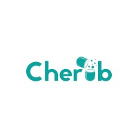 Cherub logo - Similar company to Provenance Labs