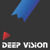 Deep Vision