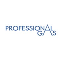 Professional Gas logo - Similar company to Vilpalet Srl