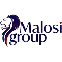 Malosi Group logo - Similar company to D&C Solutions Group