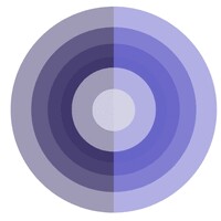 PE-Xcelerate Executive Solutions logo - Similar company to Catalyst Consulting Llc