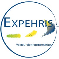 Expehris logo - Similar company to Xcom Solution