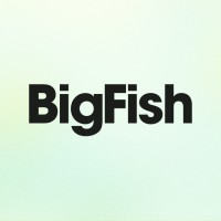 Big Fish Collective logo - Similar company to Press Forward