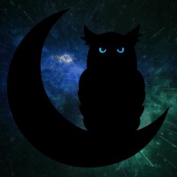 Noctris Studio LLC logo - Similar company to Maverick Advisory Services