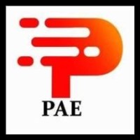 PAE Controls logo - Similar company to Ican Automation Solution