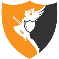 Valkyries' Information Security logo - Similar company to Lifeline Computer Solutions, Inc.