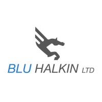Blu Halkin logo - Similar company to Viking Airlines