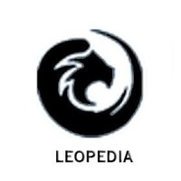Leopedia Web Solutions logo - Similar company to Virtual Dedos