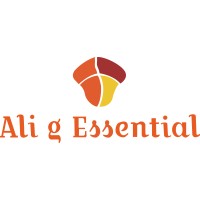 Ali g Essential logo - Similar company to Softmat Developer'S
