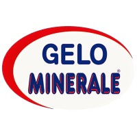 Gelo Minerale Indústria e Comércio Gelo logo - Similar company to Gelo Drink