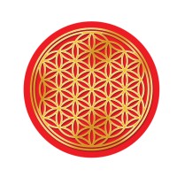 Vital-Club Consulting Ltd.