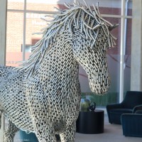 Binary Farms, Inc. logo - Similar company to Xnestorio Inc