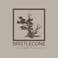 Bristlecone Capital, LLC logo - Similar company to Ausblick Development