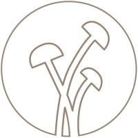 Despertar Retiros logo - Similar company to Retiros Rombo