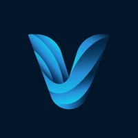 Velion logo - Similar company to Grupo Baioni