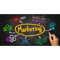 Licenciatura Em Marketing Na Estgv