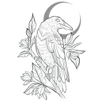 Raven Coaching & Training logo - Similar company to Carefulness