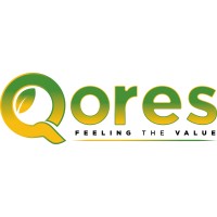 QORES logo - Similar company to Docet Srl